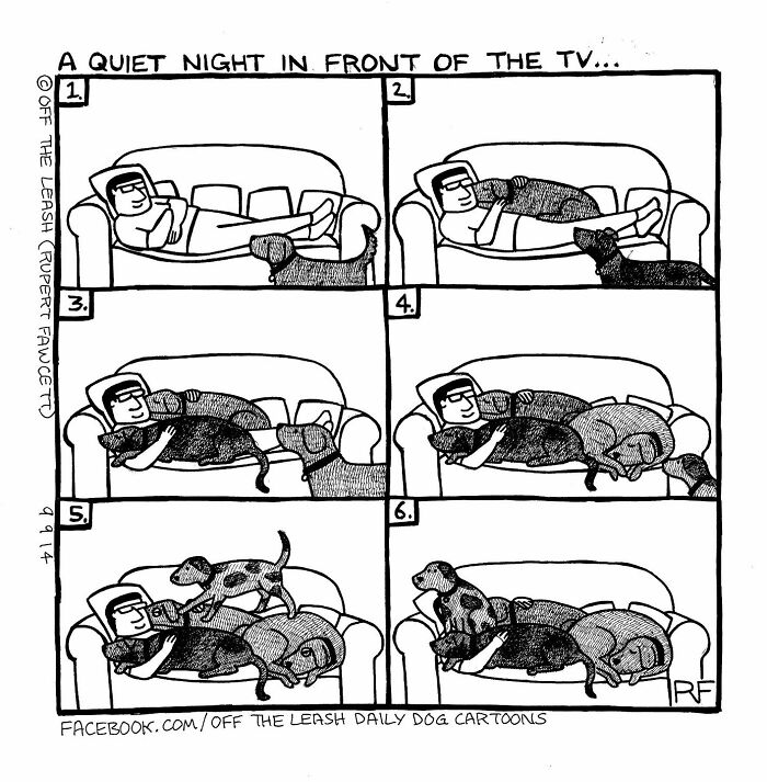 32 Comics That Show The Chaos And Joy Of Owning A Dog