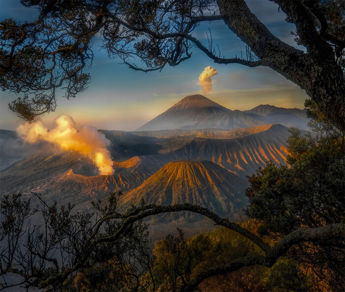 25 Stunning Winners Of AAP Magazine’s 51st Photography Contest: “Colors”