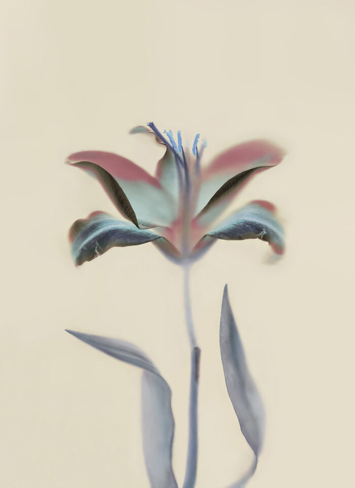 25 Stunning Winners Of AAP Magazine’s 51st Photography Contest: “Colors”