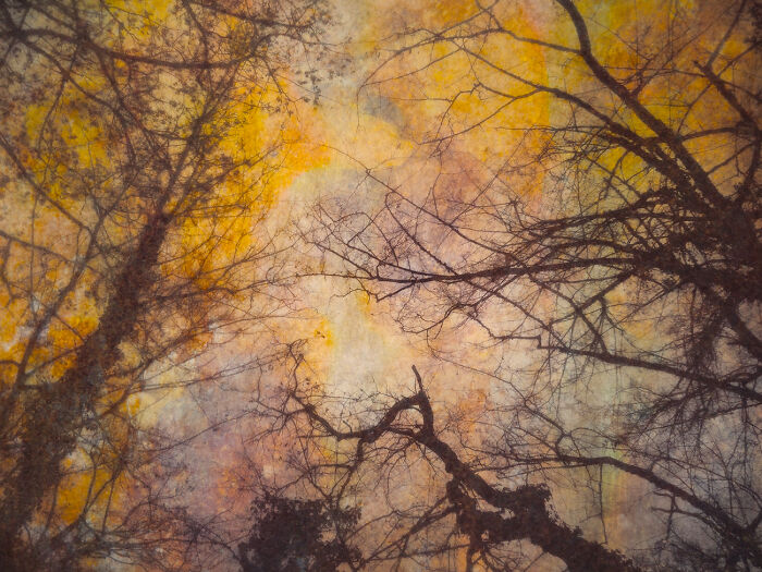 25 Stunning Winners Of AAP Magazine’s 51st Photography Contest: “Colors”