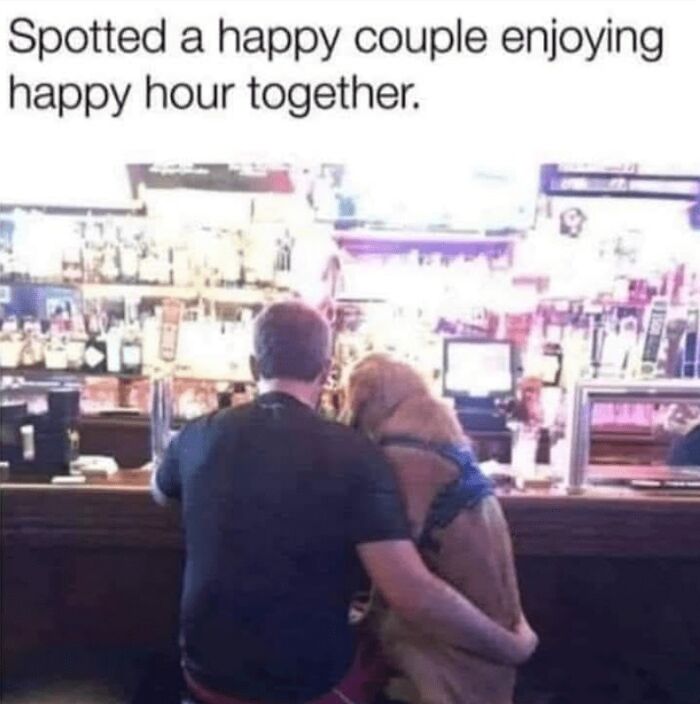 88 Wholesome Animal Memes To Make You Forget Your Worries For A While (New Pics)