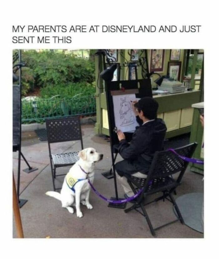 88 Wholesome Animal Memes To Make You Forget Your Worries For A While (New Pics)