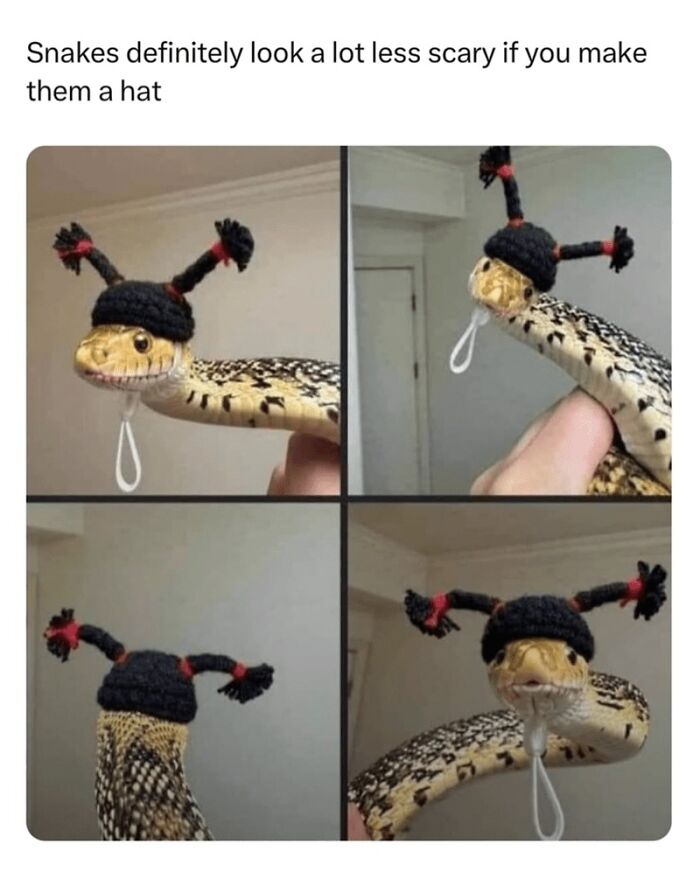 88 Wholesome Animal Memes To Make You Forget Your Worries For A While (New Pics)