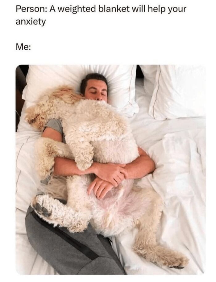 88 Wholesome Animal Memes To Make You Forget Your Worries For A While (New Pics)