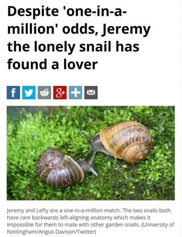 88 Wholesome Animal Memes To Make You Forget Your Worries For A While (New Pics)