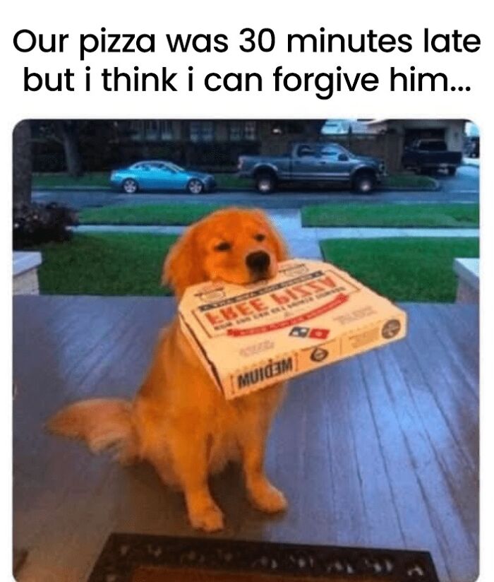 88 Wholesome Animal Memes To Make You Forget Your Worries For A While (New Pics)
