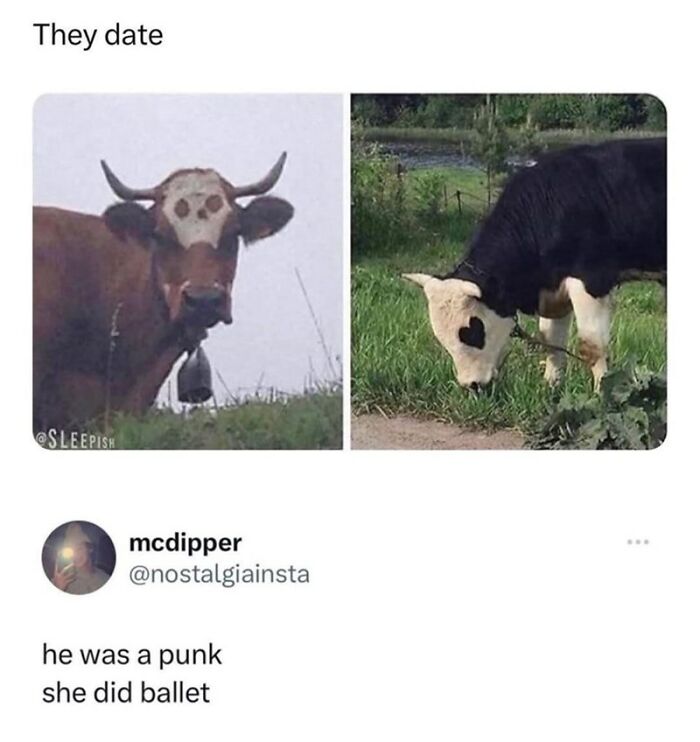 88 Wholesome Animal Memes To Make You Forget Your Worries For A While (New Pics)
