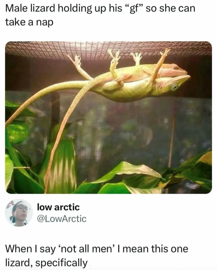 88 Wholesome Animal Memes To Make You Forget Your Worries For A While (New Pics)