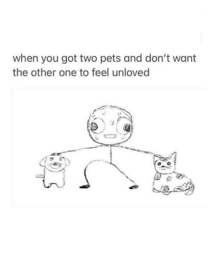 88 Wholesome Animal Memes To Make You Forget Your Worries For A While (New Pics)