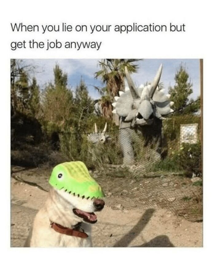 88 Wholesome Animal Memes To Make You Forget Your Worries For A While (New Pics)