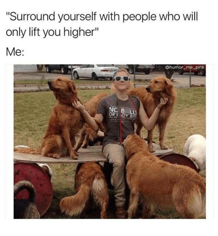 88 Wholesome Animal Memes To Make You Forget Your Worries For A While (New Pics)