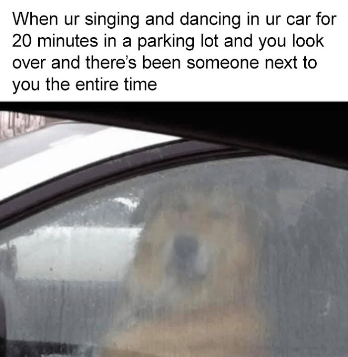 88 Wholesome Animal Memes To Make You Forget Your Worries For A While (New Pics)