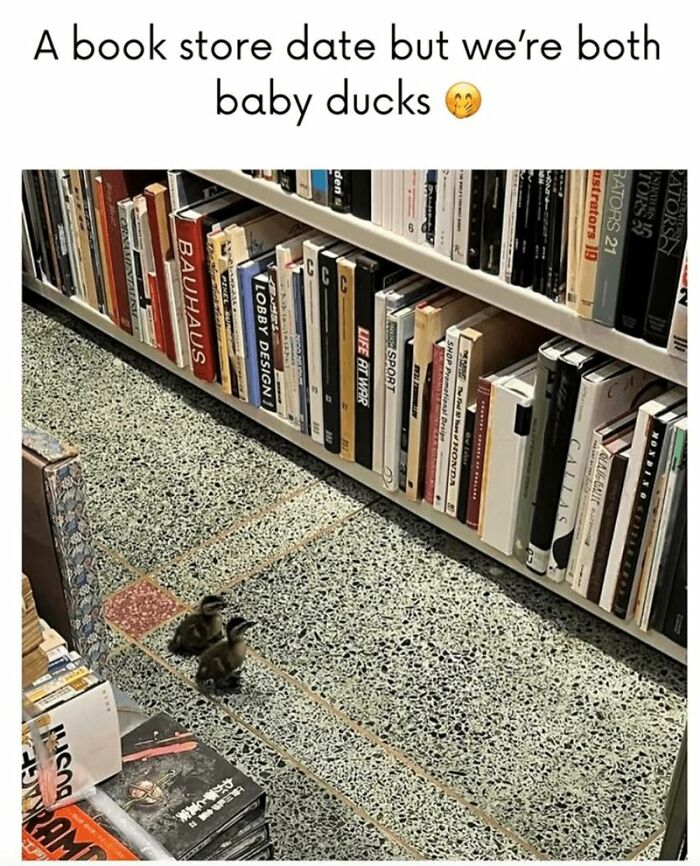 88 Wholesome Animal Memes To Make You Forget Your Worries For A While (New Pics)