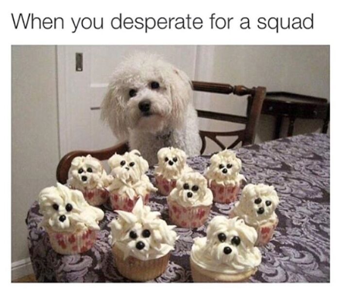 88 Wholesome Animal Memes To Make You Forget Your Worries For A While (New Pics)