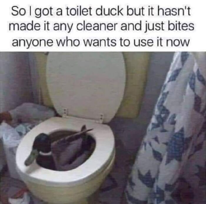 88 Wholesome Animal Memes To Make You Forget Your Worries For A While (New Pics)