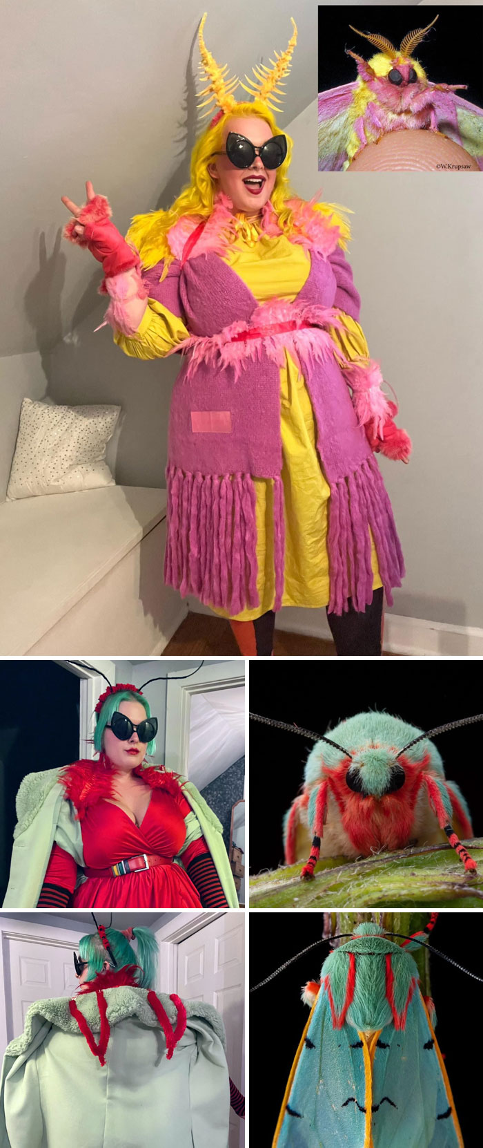 89 Genius Halloween Costumes That Instantly Made People The Talk Of The Party (New Pics)
