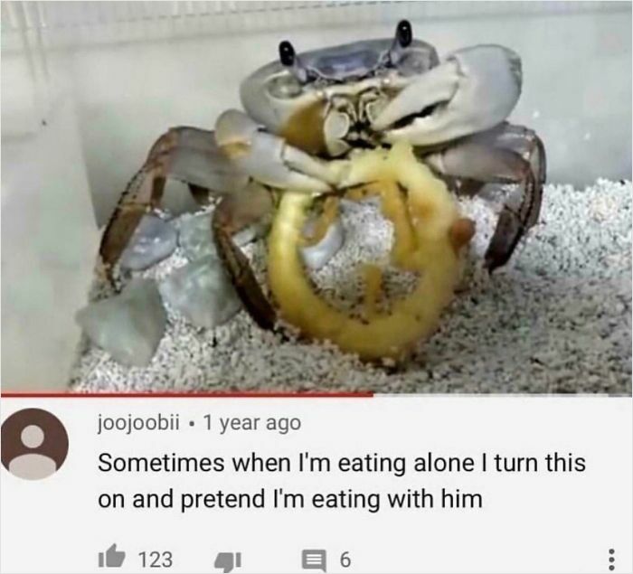 83 Hilarious YouTube Comments That Were Better Than The Video
