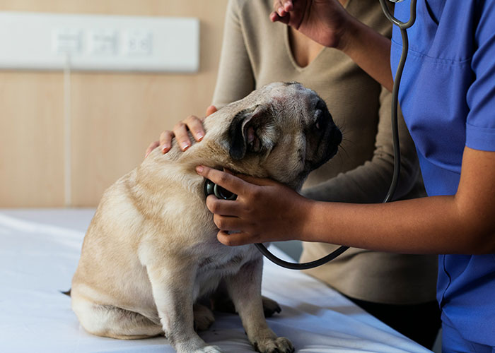 55 Times Medical Examinations Uncovered Disturbing Truths About A Person&#8217;s Death