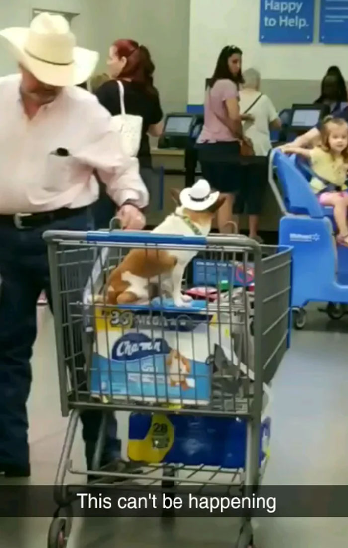 135 Of The Wildest “People Of Walmart” Pics To Prove That It&#8217;s A Place Like Nowhere Else (New Pics)