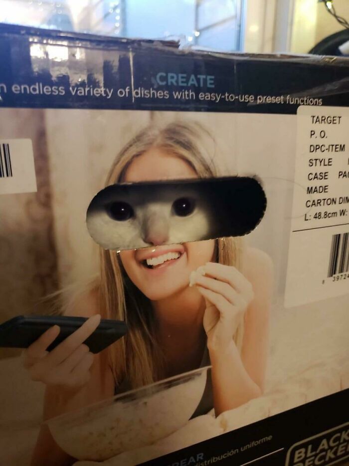 50 Photos of Posts So Hilarious They Accidentally Became Instant Memes