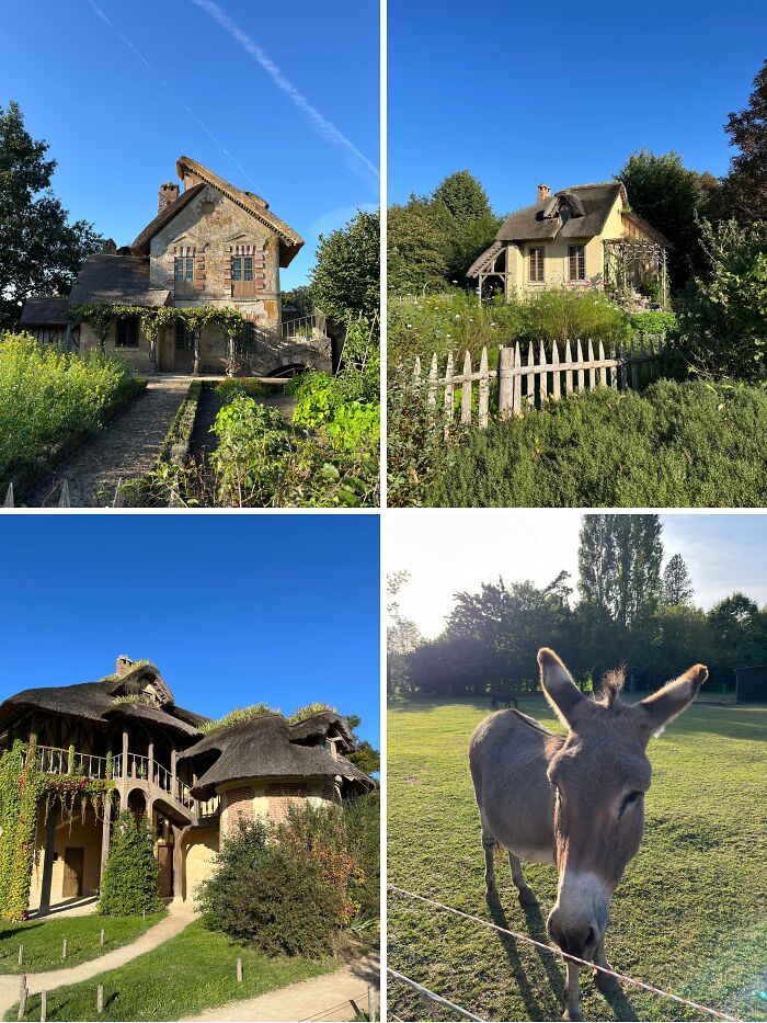 83 Magical And Whimsical Examples Of Cottage Core Aesthetics