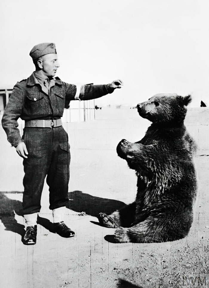 &#8220;Rabbits Once Attacked Napoleon&#8221;: 40 Shocking Stories From History That Are Somehow True