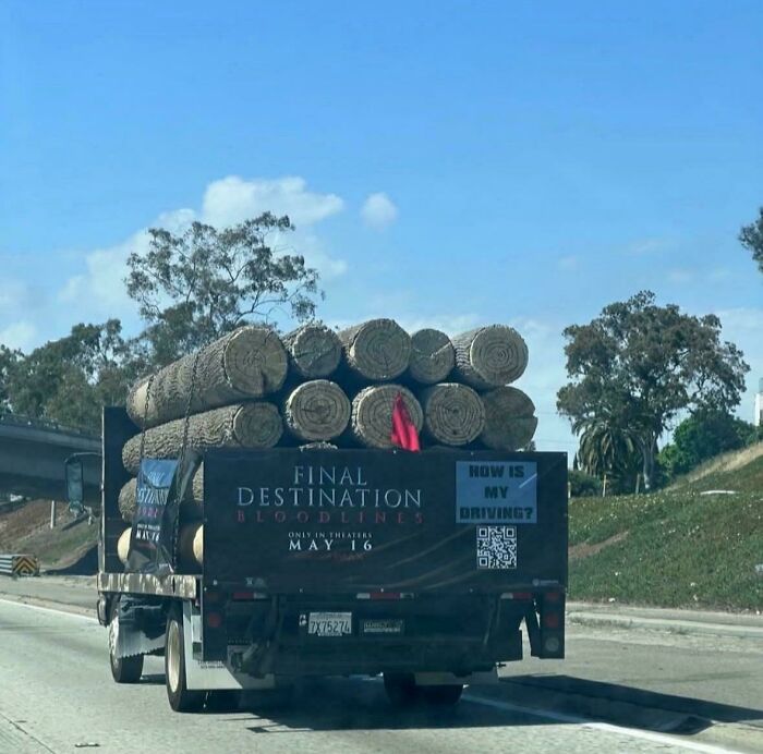 70 Times People Knew Exactly What They Were Doing And Still Went For It (New Pics)