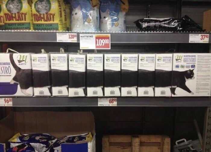 70 Times People Knew Exactly What They Were Doing And Still Went For It (New Pics)
