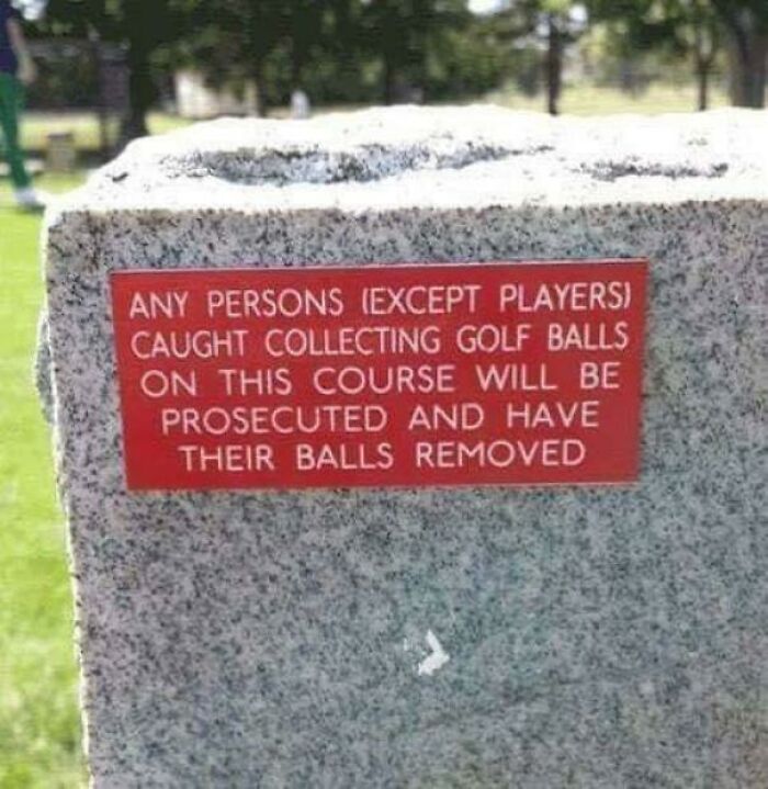 70 Times People Knew Exactly What They Were Doing And Still Went For It (New Pics)