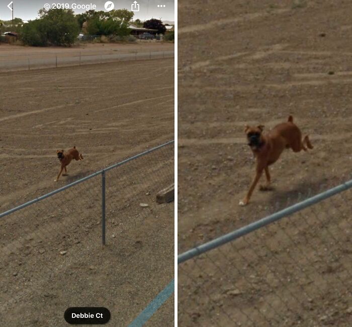 46 Times Google Earth And Maps Captured Something Totally Unexpected 46 Times Google Earth And Maps Captured Something Totally Unexpected