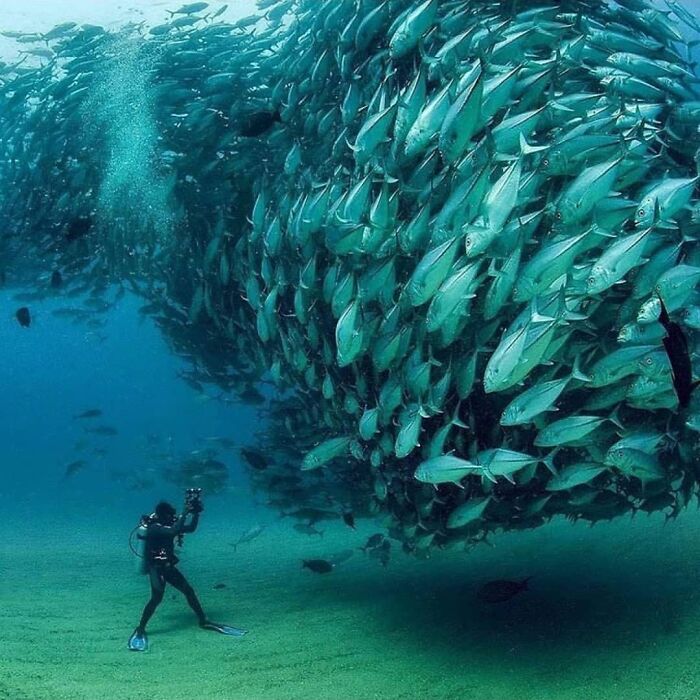 This Account Collects The Most Heartwarming Wildlife Photography (25 Pics)
