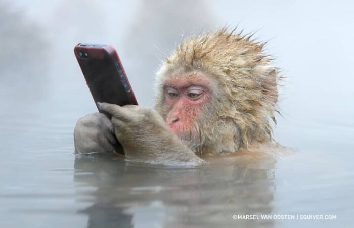 This Account Collects The Most Heartwarming Wildlife Photography (25 Pics)