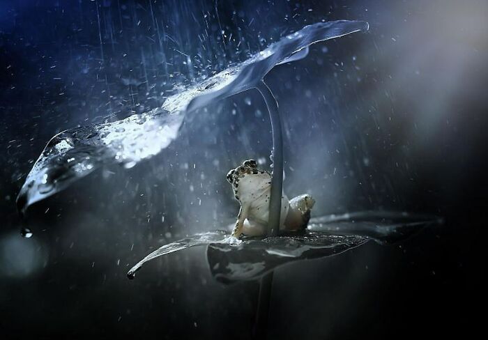 This Account Collects The Most Heartwarming Wildlife Photography (25 Pics)
