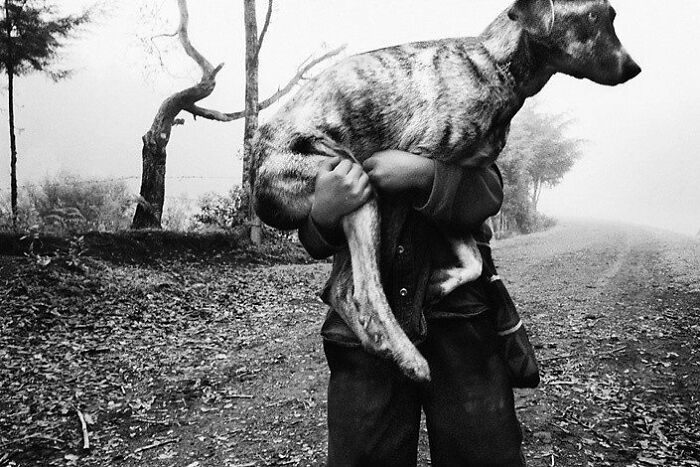This Account Collects The Most Heartwarming Wildlife Photography (25 Pics)