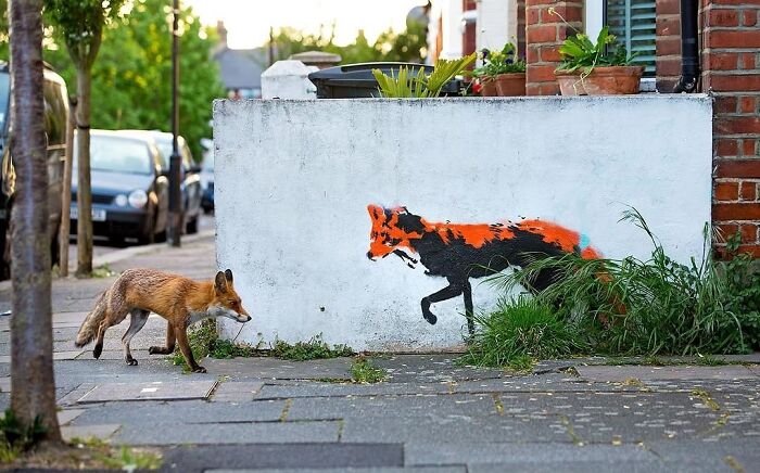 30 Of The Most Interesting Images Picked By “The Decisive Moments Magazine” (New Pics)