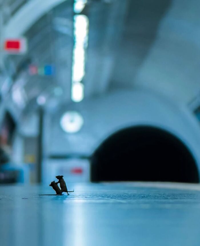30 Of The Most Interesting Images Picked By “The Decisive Moments Magazine” (New Pics)