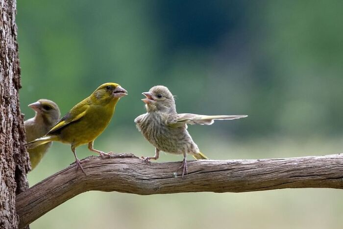 30 Of The Most Interesting Images Picked By “The Decisive Moments Magazine” (New Pics)