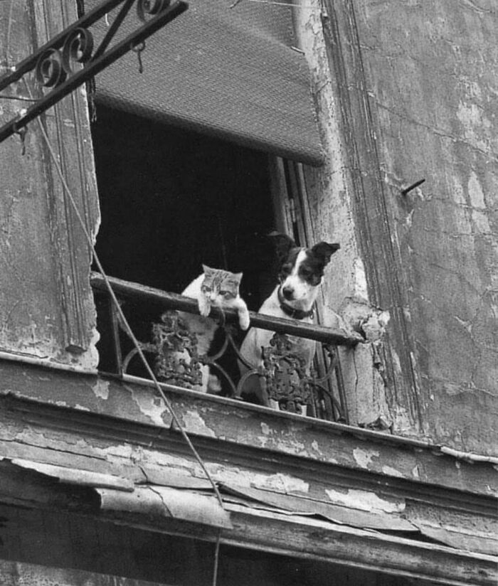 30 Of The Most Interesting Images Picked By “The Decisive Moments Magazine” (New Pics)