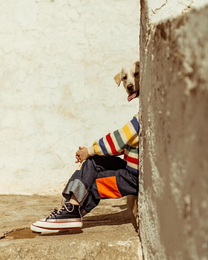 30 Of The Most Interesting Images Picked By “The Decisive Moments Magazine” (New Pics)