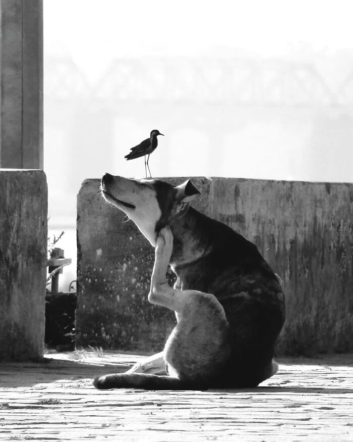 30 Of The Most Interesting Images Picked By “The Decisive Moments Magazine” (New Pics)
