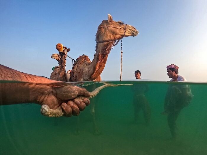 30 Of The Most Interesting Images Picked By “The Decisive Moments Magazine” (New Pics)