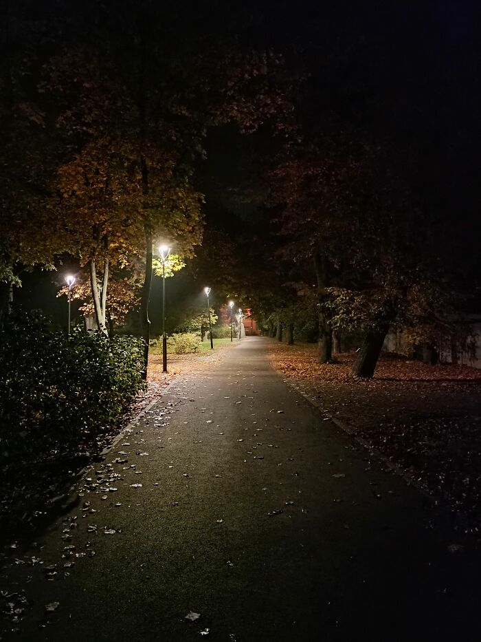 Hey Pandas, Share Your Autumn Photos