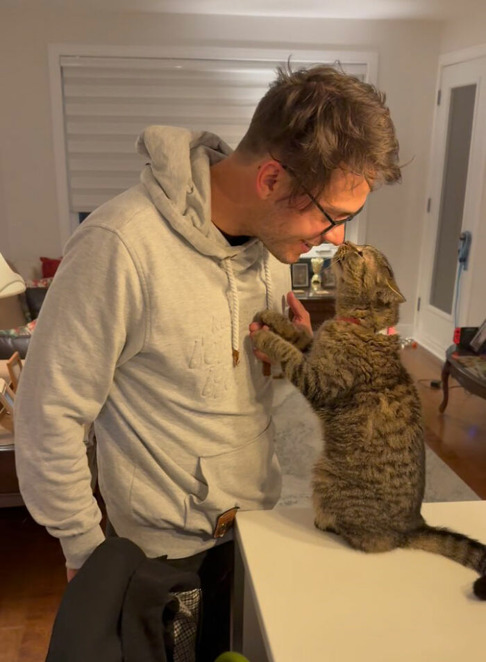 This Talented Cat Was Returned To The Shelter Twice, And Now She’s Living Her Best Life