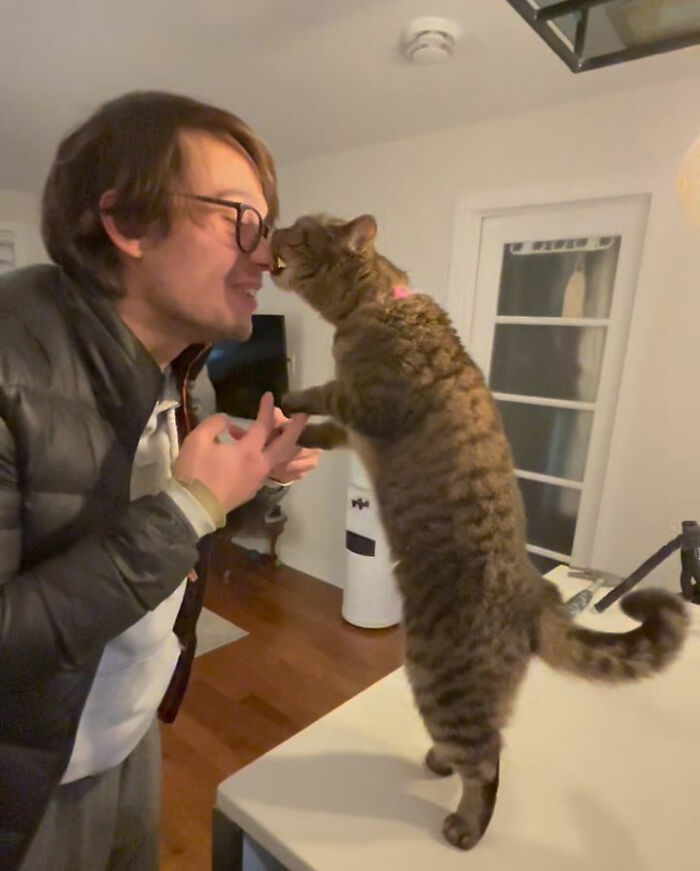 This Talented Cat Was Returned To The Shelter Twice, And Now She’s Living Her Best Life