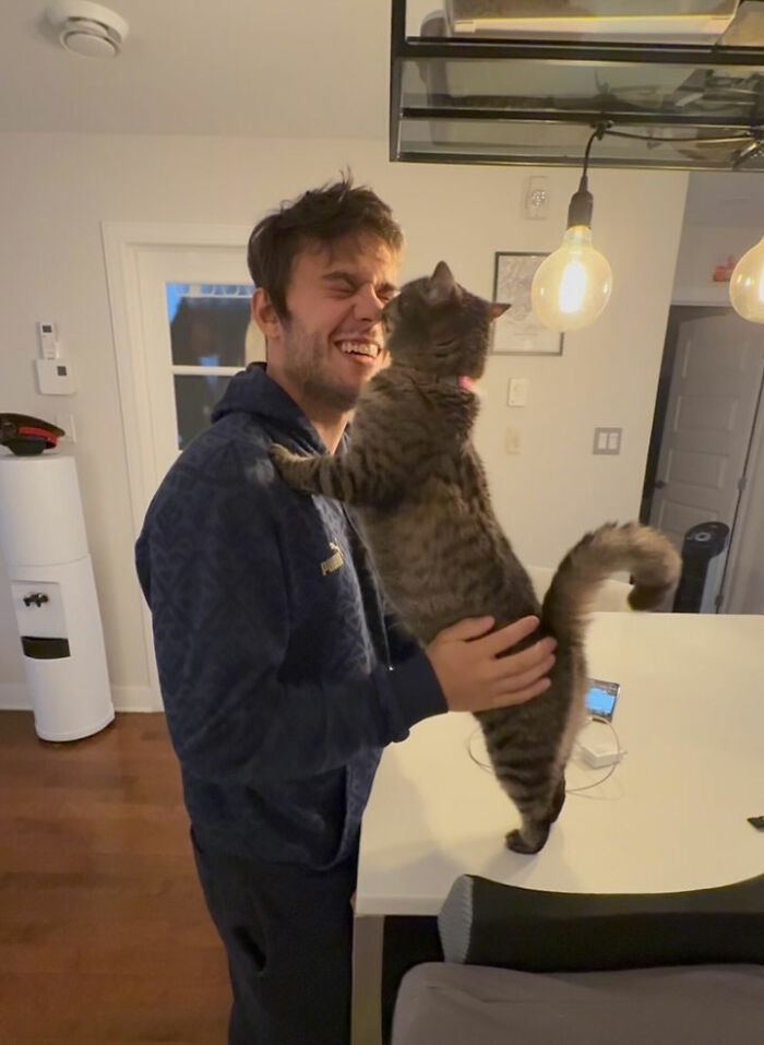 This Talented Cat Was Returned To The Shelter Twice, And Now She’s Living Her Best Life