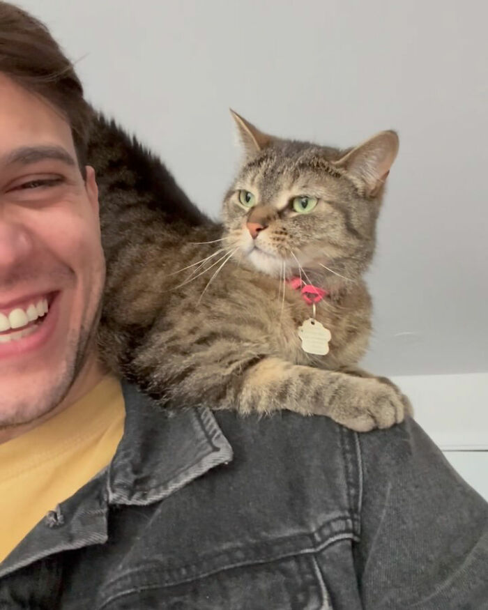 This Talented Cat Was Returned To The Shelter Twice, And Now She’s Living Her Best Life