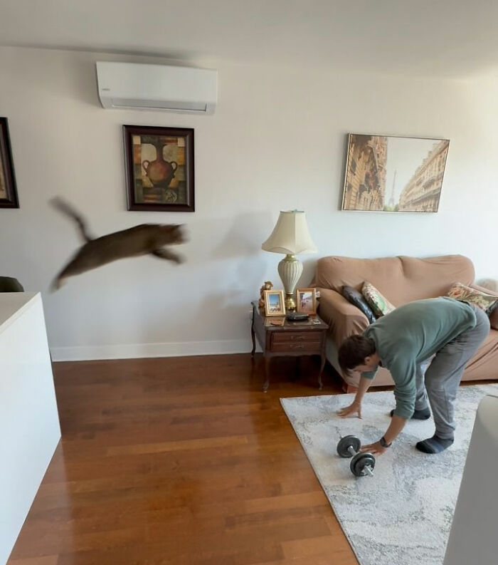 This Talented Cat Was Returned To The Shelter Twice, And Now She’s Living Her Best Life