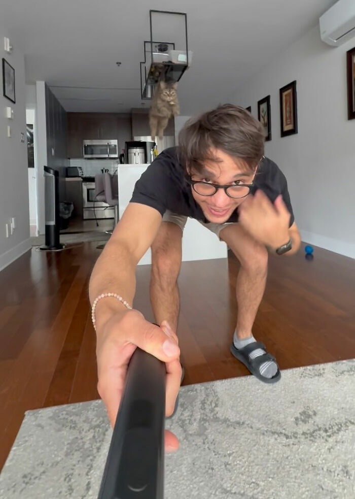 This Talented Cat Was Returned To The Shelter Twice, And Now She’s Living Her Best Life