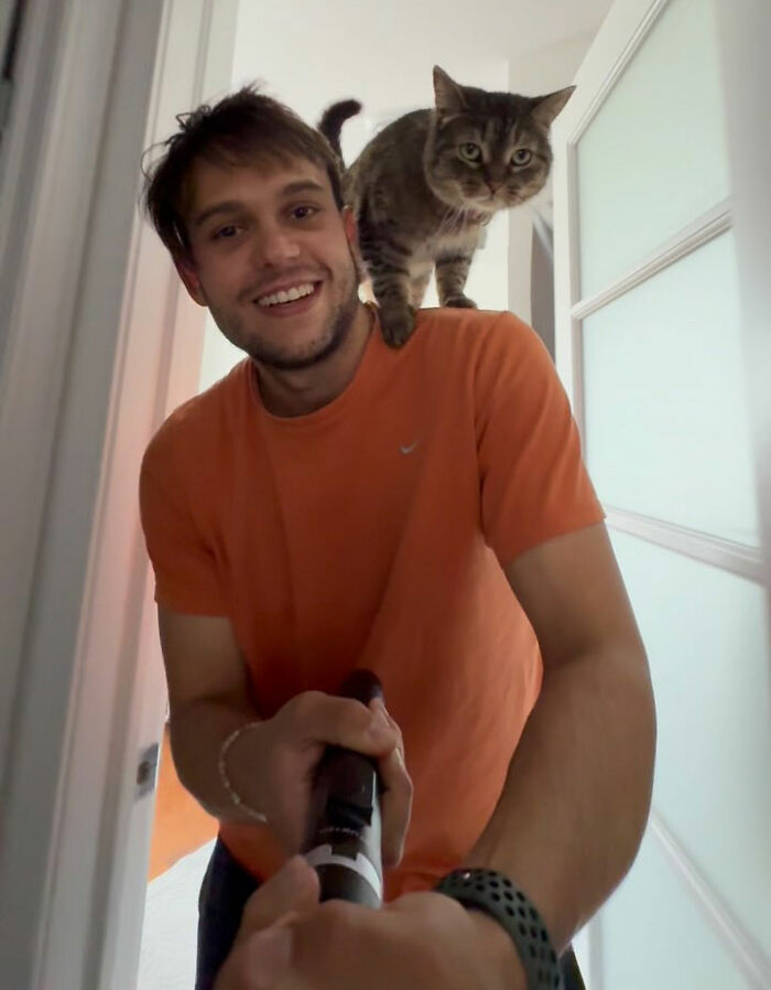 This Talented Cat Was Returned To The Shelter Twice, And Now She’s Living Her Best Life