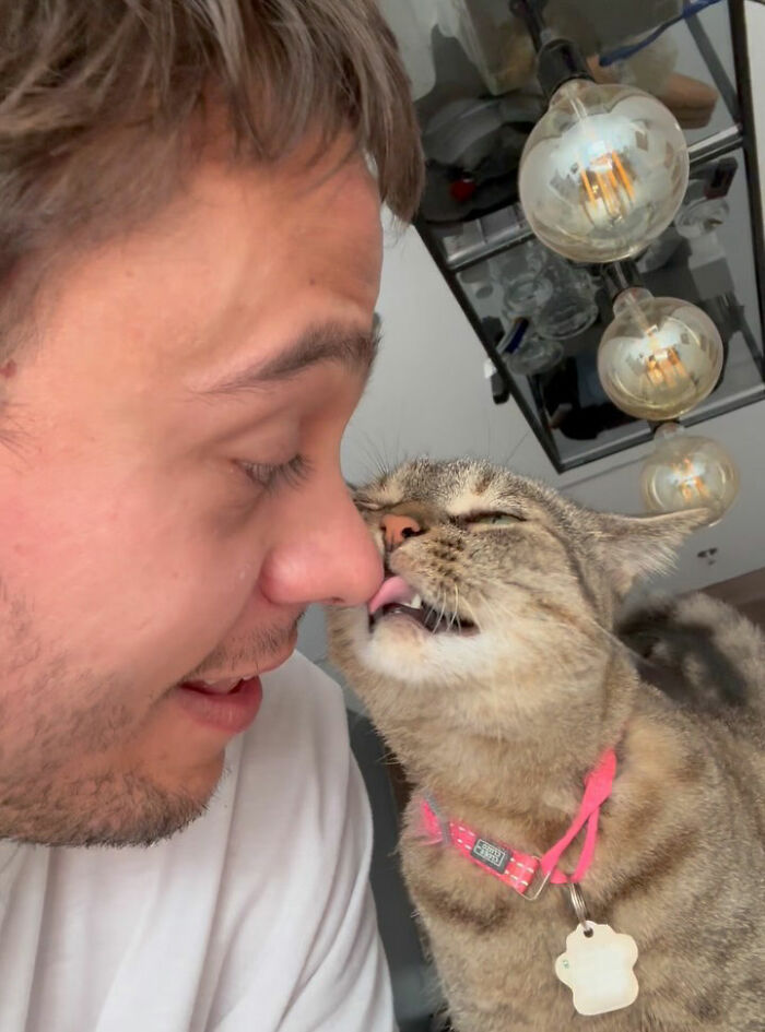 This Talented Cat Was Returned To The Shelter Twice, And Now She’s Living Her Best Life